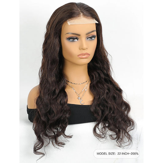 Body Wave Remy Human Hair Closure Wig – 4x4 Transparent Swiss Lace, Pre-Plucked, Bleached Knots