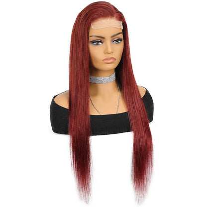 Bone Straight Remy Human Hair Closure Wig – 4x4 Transparent Swiss Lace, Pre-Plucked, Bleached Knots