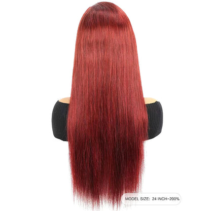 Bone Straight Remy Human Hair Closure Wig – 4x4 Transparent Swiss Lace, Pre-Plucked, Bleached Knots